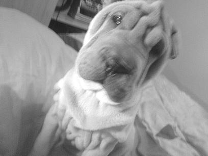 blac and white