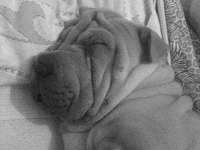 quand elle dort